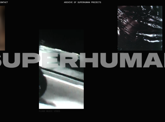 New record label by Swedish house mafia - Superhuman
